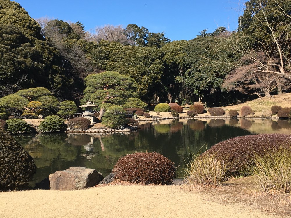 shinjuku-gyoen